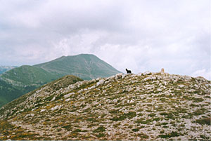 Monte Crepacuore. Sullo sfondo M. Viglio