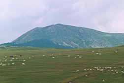 Il Monte Crepacuore dalla Conca di Campo Catino