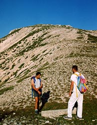 Cippo di confine tra Stao della Chiesa e Regno Borbonico. Sullo sfondo Monte Ortara