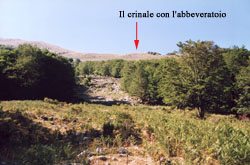 L' inizio del ripido pendio