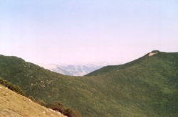 La boscosa sella di Vado della Rocca. Sullo sfondo le vette del P.N.A.