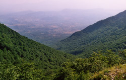 Panorama sulla Macchia di Vico