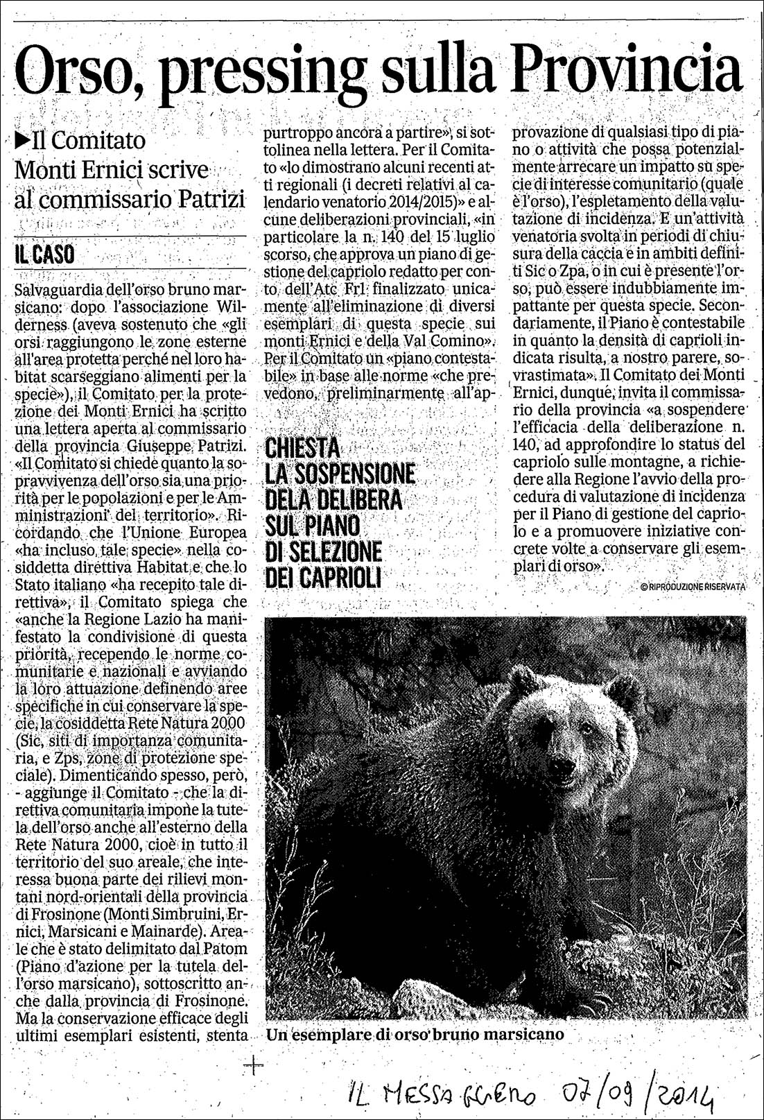 2014_09_07 messaggero comitato capriolo.jpg