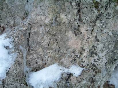 563g - Valdrocca 1355 m, Pescia, Norcia, Termine scolpito su una roccia.jpg