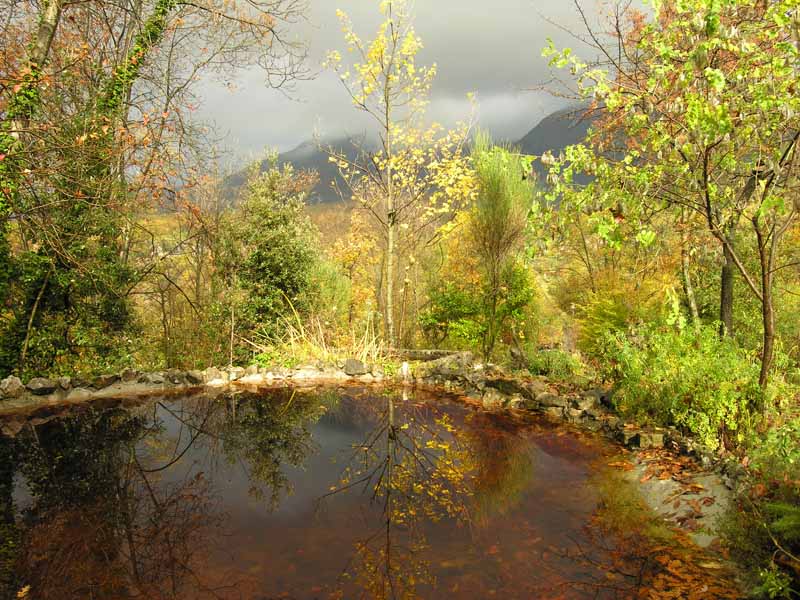 autunno all'Orto Botanico.jpg