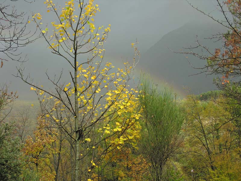 autunno con arcobaleno.jpg