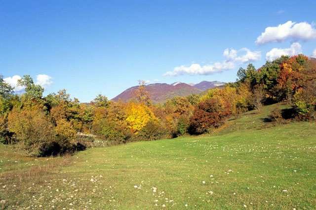 autunno Ernici ( La Cimetta).jpg