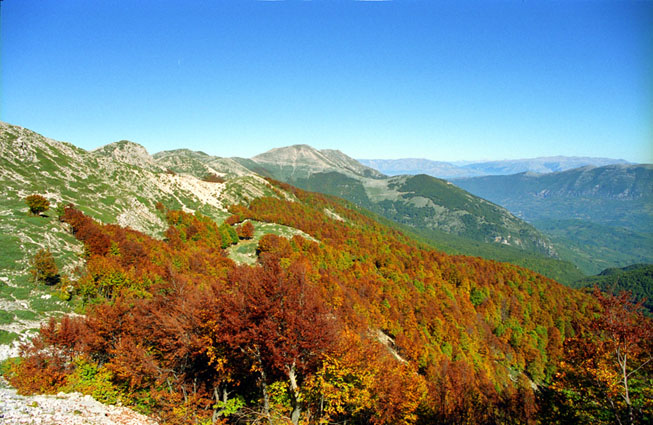 autunno Ernici (versante Ortara verso Valle Roveto).jpg