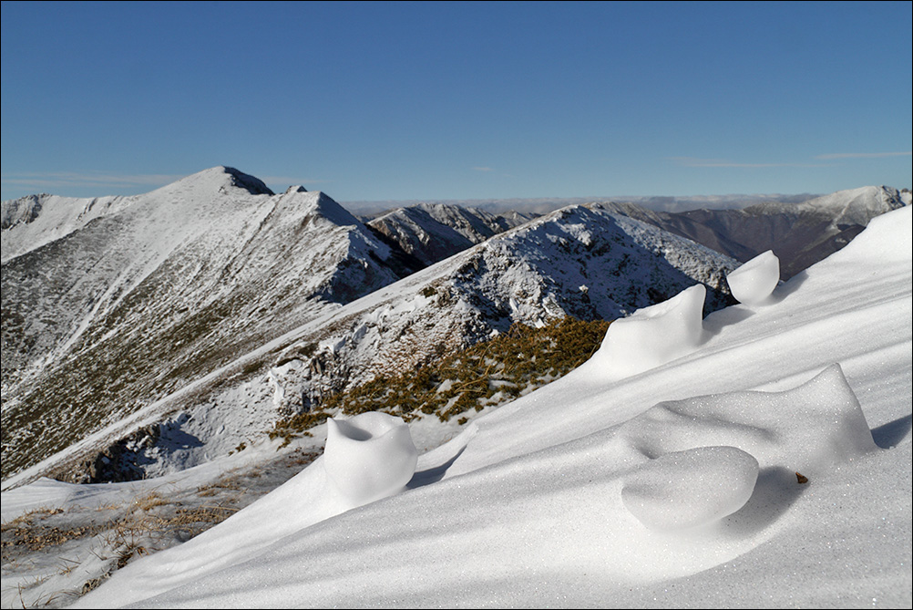 calici di neve.jpg