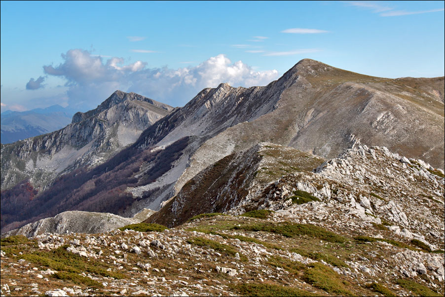 cappello__passeggio__deta_427.jpg