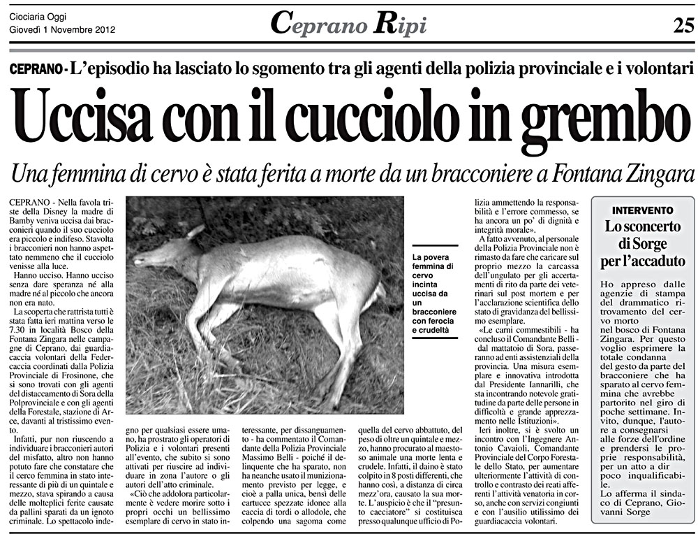 ciociaria oggi 01_11_2012.jpg