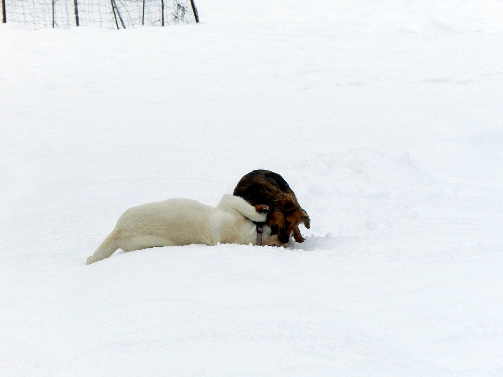 DSCN4328.JPG