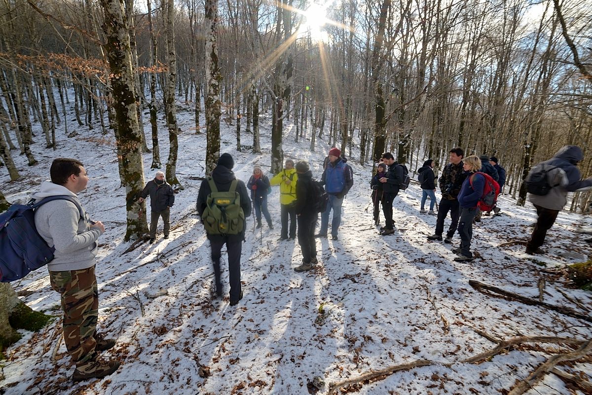 Faggio lepini. Escursione 24-01-2016 (82).JPG