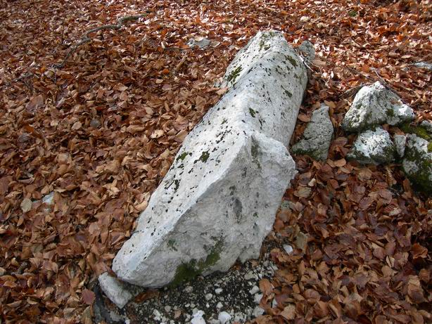 Foto006 - Cippo di confine n° 224, particolare.jpg