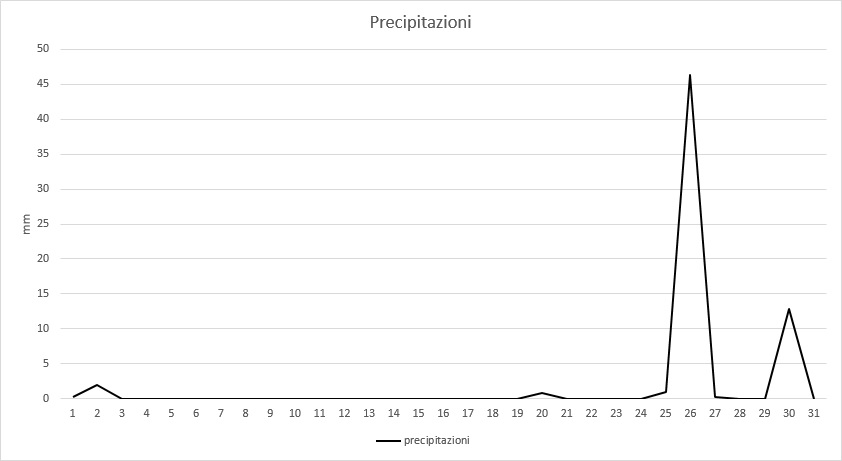 Grafico precipitazioni dicembre 2013.jpg