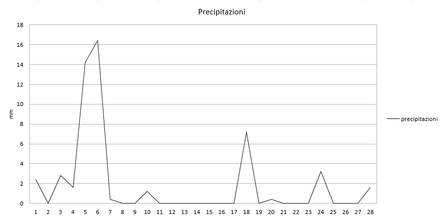 Grafico precipitazioni febbraio 2017.jpg