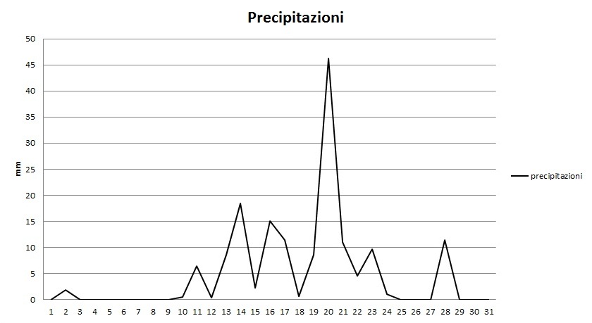 Grafico precipitazioni Gennaio 2013.jpg