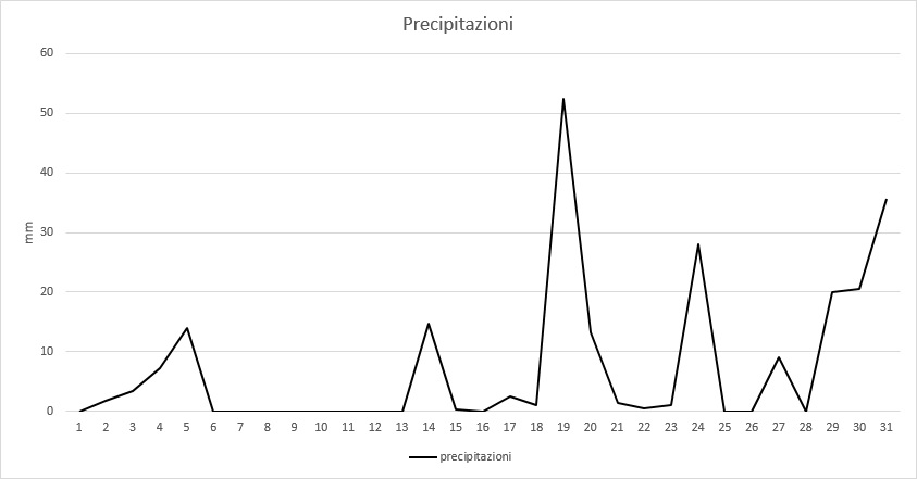 Grafico precipitazioni Gennaio 2014.jpg