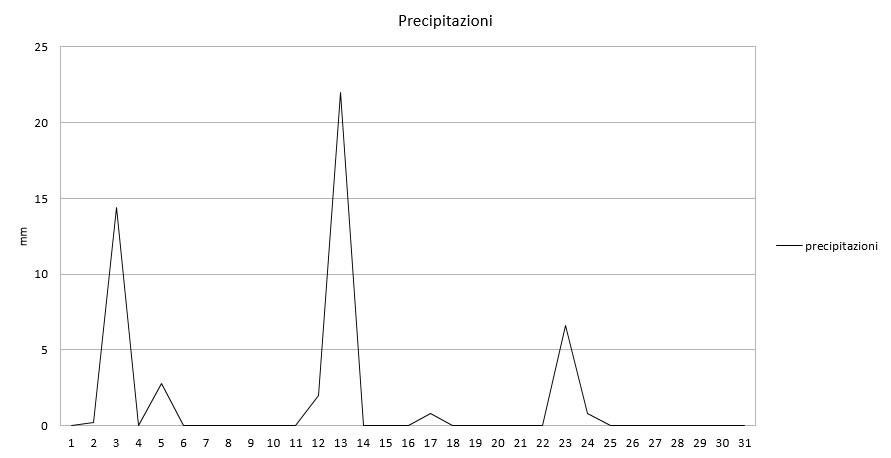 Grafico precipitazioni gennaio 2017.jpg