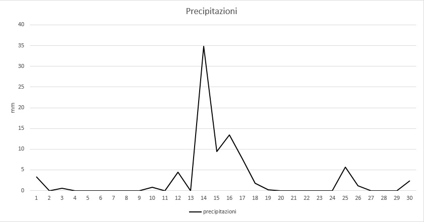 Grafico precipitazioni giugno 2014.jpg