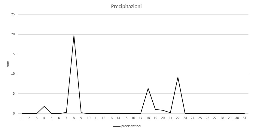 Grafico precipitazioni luglio 2013.jpg