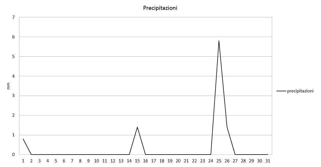 Grafico precipitazioni luglio 2017.jpg