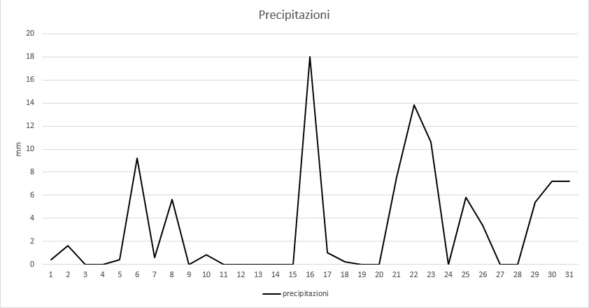 Grafico precipitazioni maggio 2013.jpg