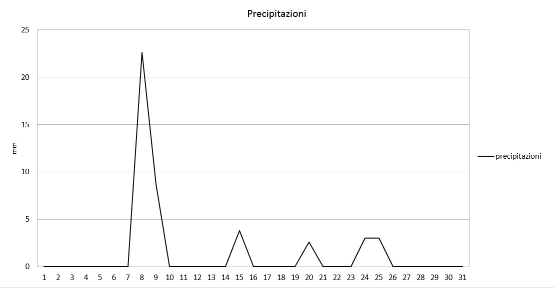 Grafico precipitazioni maggio 2017.jpg