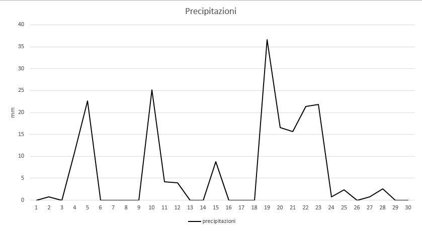 Grafico precipitazioni novembre 2013.jpg