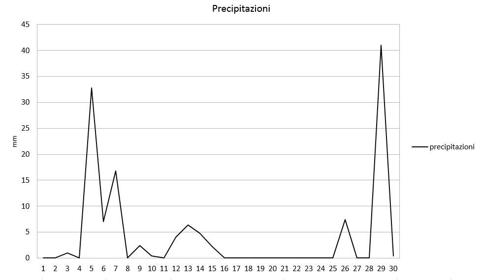 Grafico precipitazioni novembre 2017.jpg