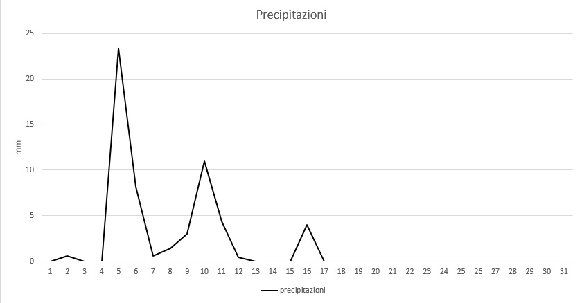 Grafico precipitazioni ottobre 2013.jpg