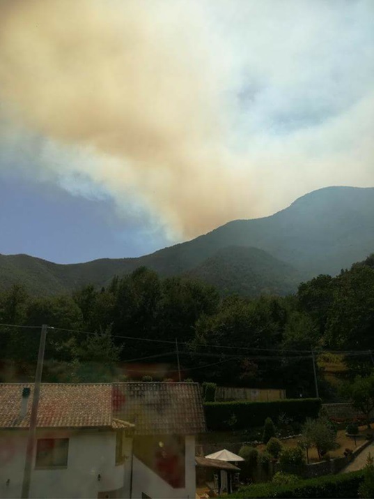 Incendio monte Gemma.jpg