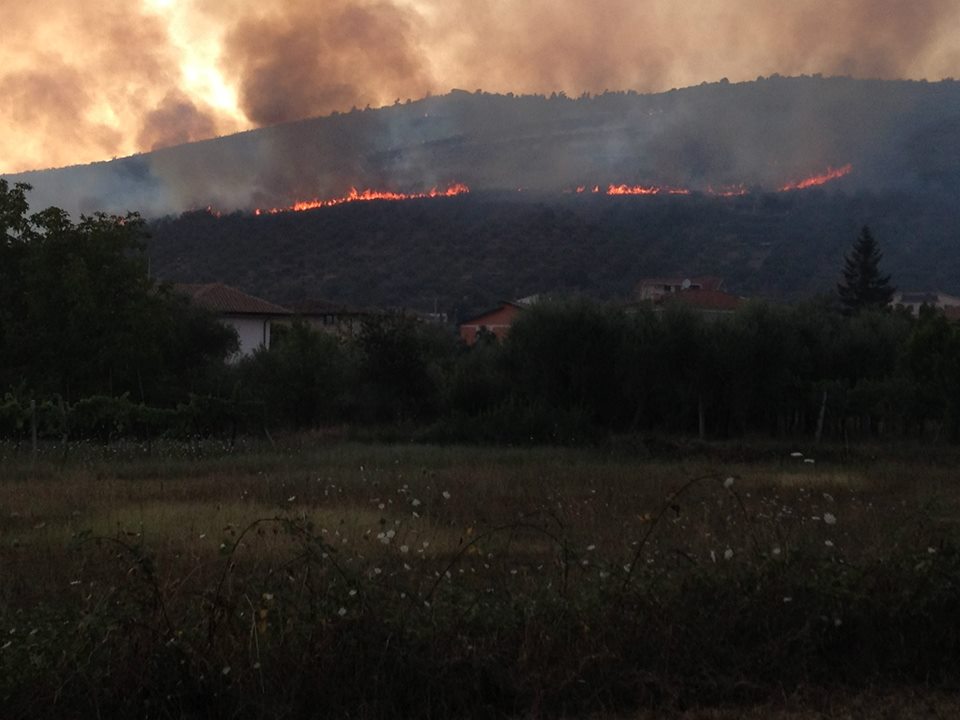 Incendio Monte Reo 2.jpg