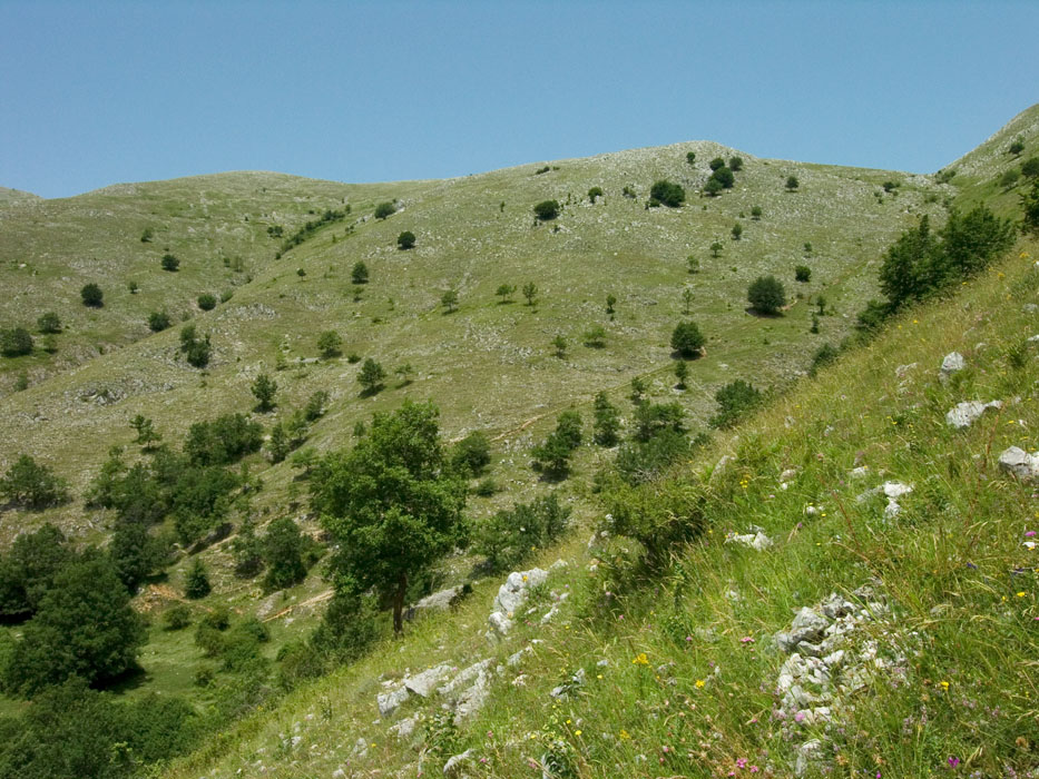 Inizio sentiero per  Monte Obachelle.jpg