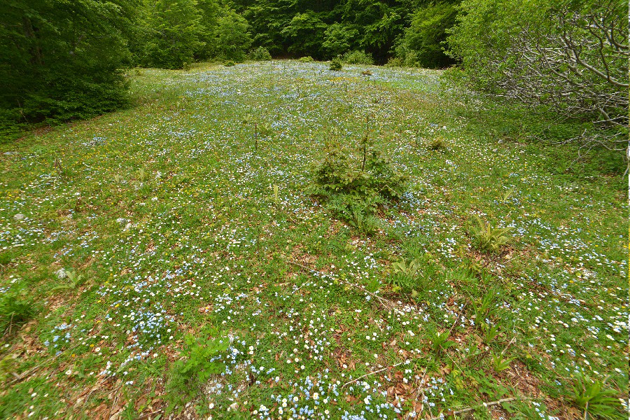 La Monna_109r.jpg