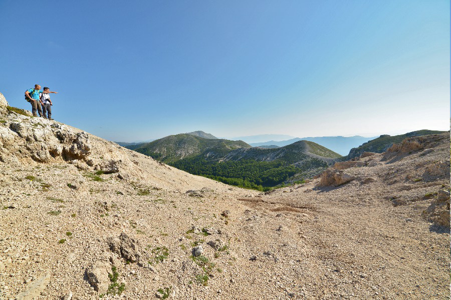 La Monna_13r.jpg