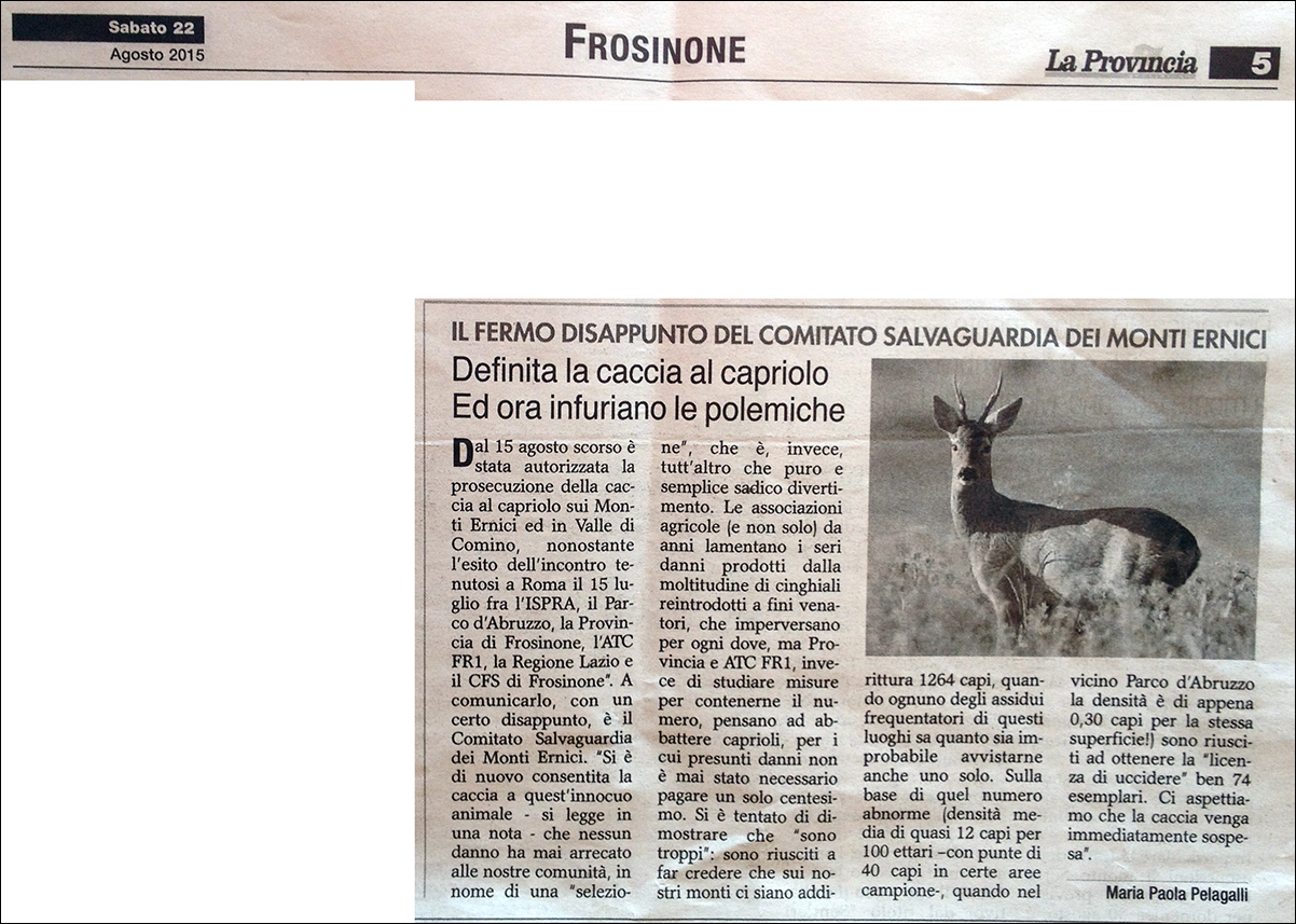 la provincia 2015_08_22 capriolo.jpg