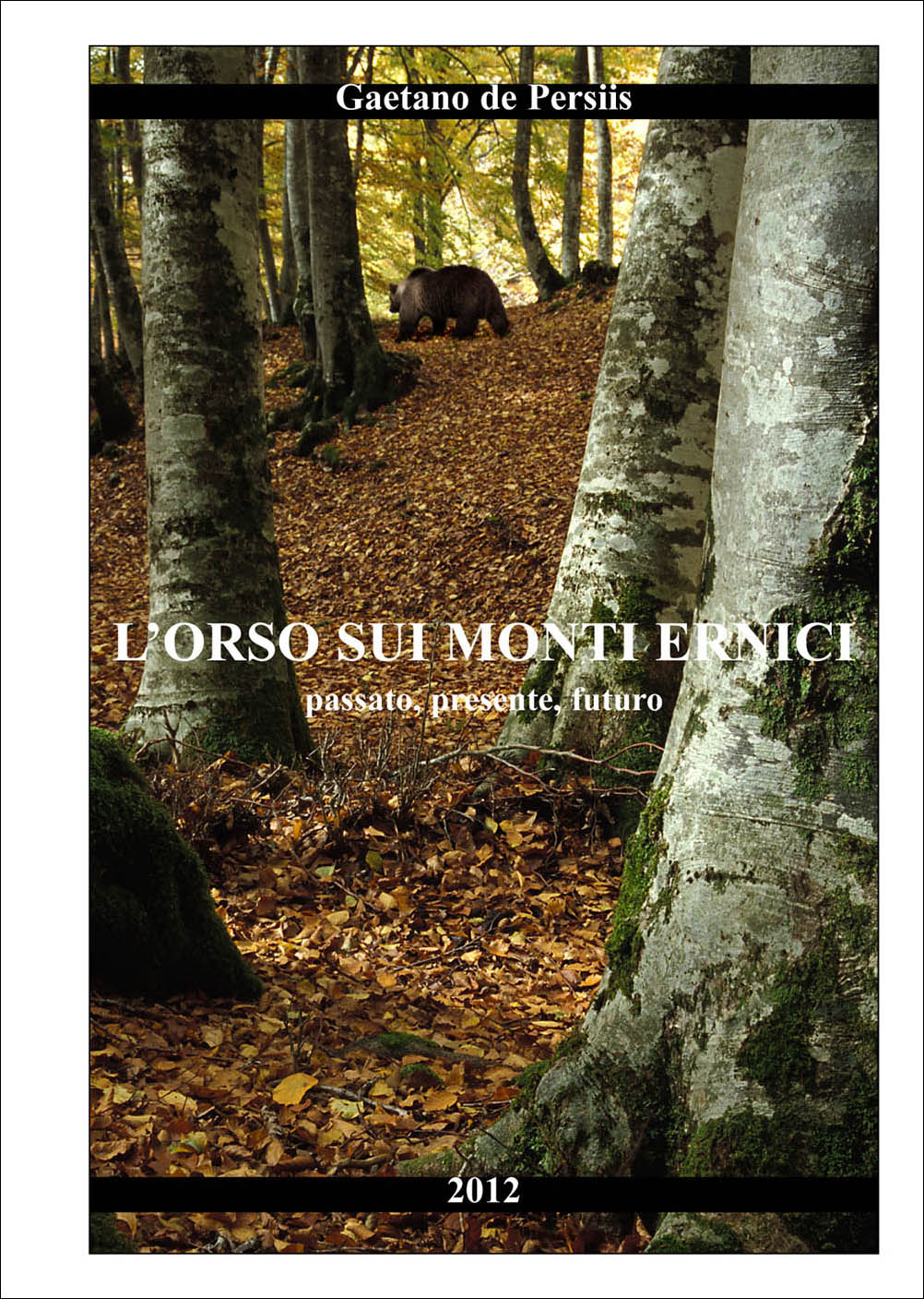 L'orso sui Monti Ernici-1.jpg