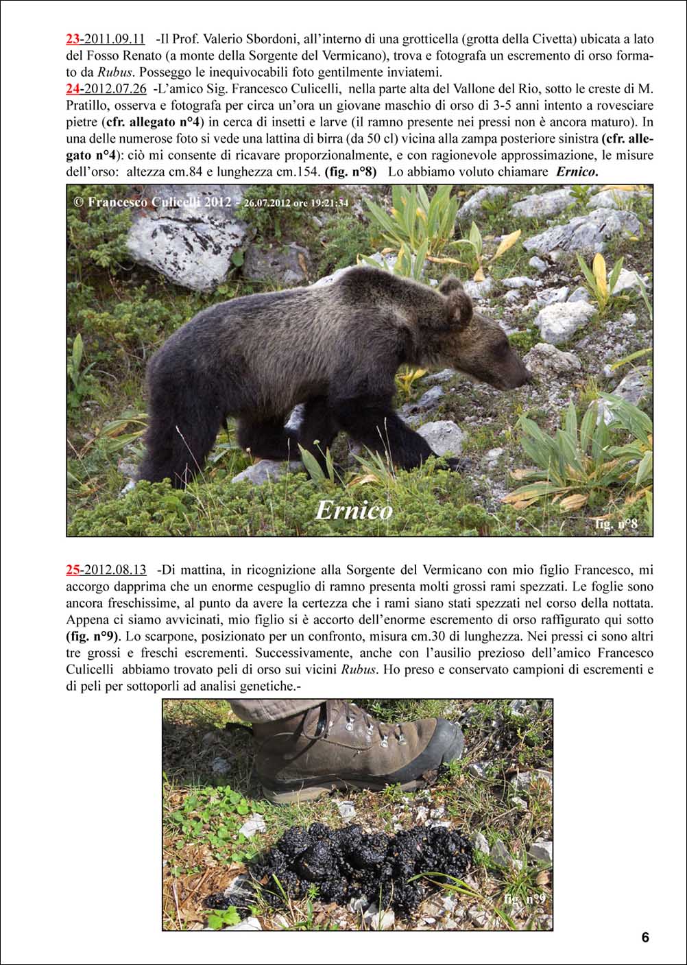 L'orso sui Monti Ernici-7.jpg
