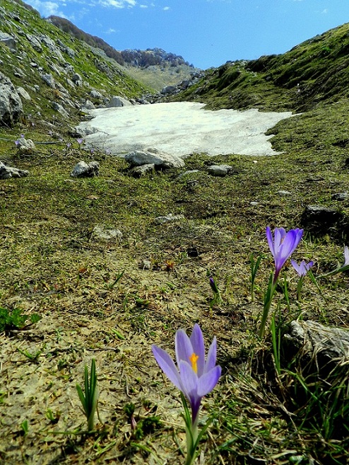 L'ultimo nevaio.JPG