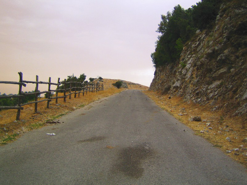 Lungo la strada per Santa Serena.jpg