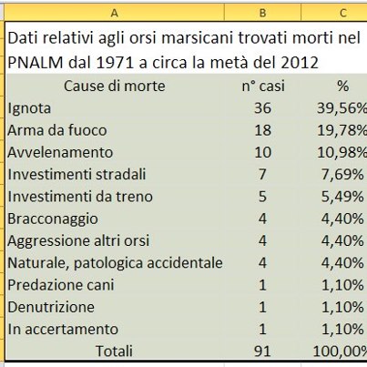 orso.jpg