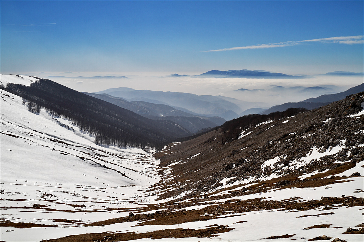 p marchetta IMG_3823.jpg