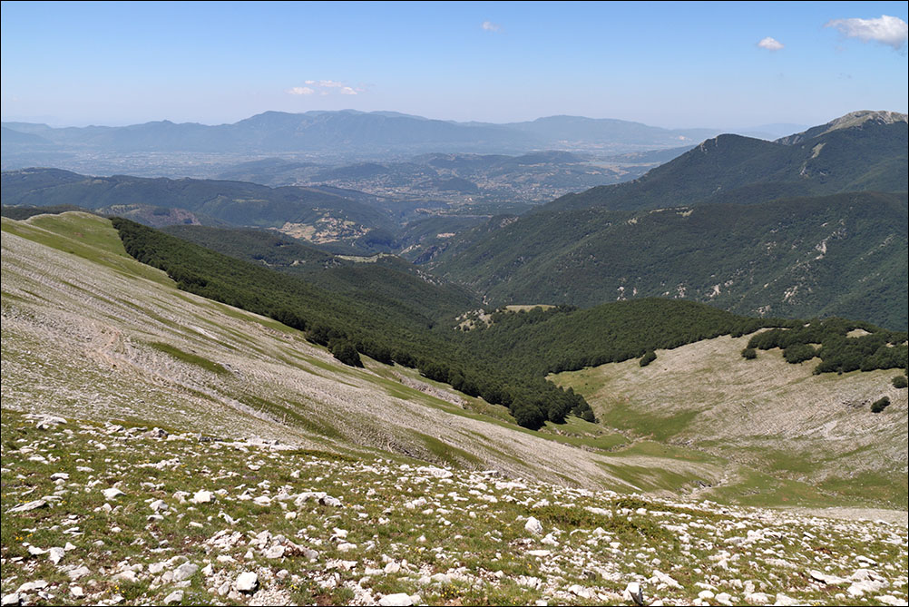 p pano su sacco IMG_6721.jpg