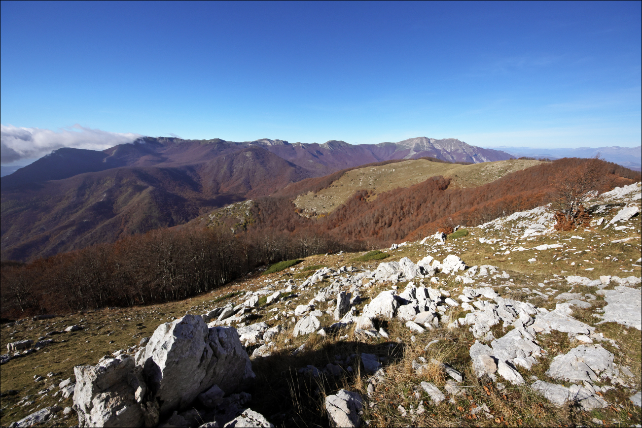 P Prato e cresta Rotonaria - Viglio 004A1517 W.jpg