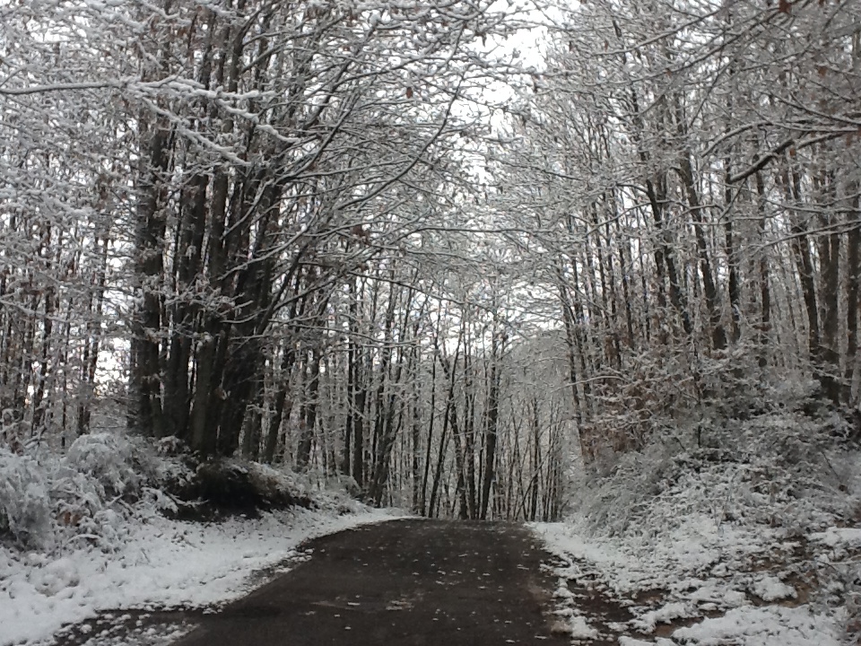 Panorama sulla strada.JPG