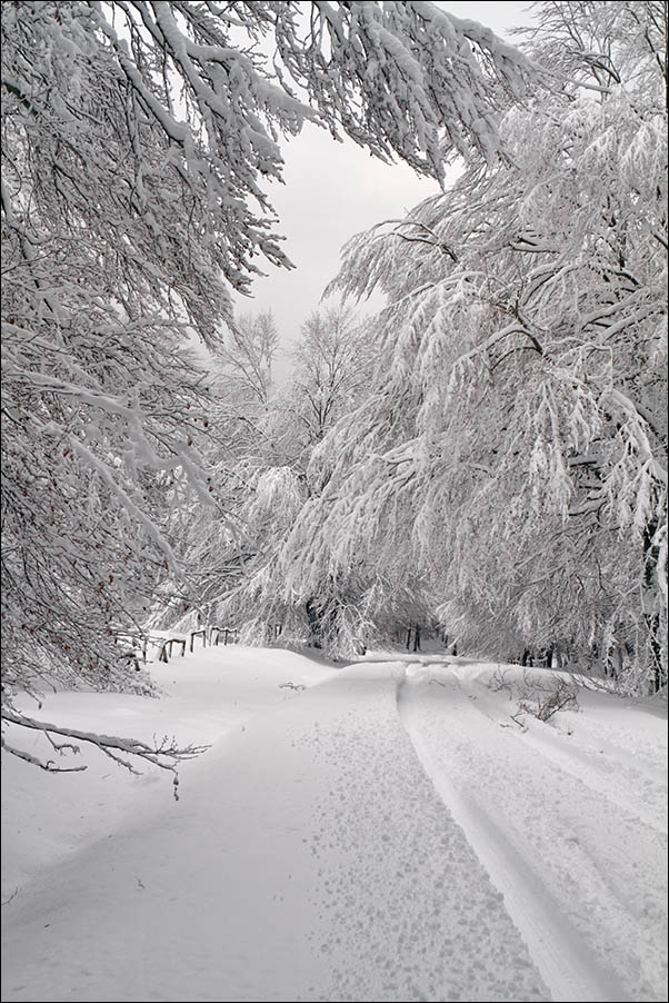 strada innevata.jpg