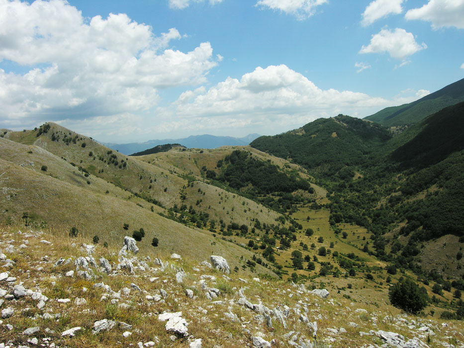 Valle delle Settare da Monte Obachelle.jpg