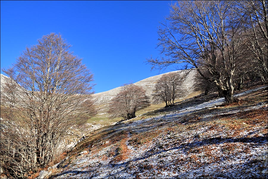 valle marchetta.jpg