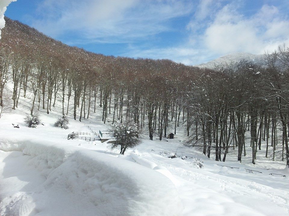 vista con un po di sole.jpg